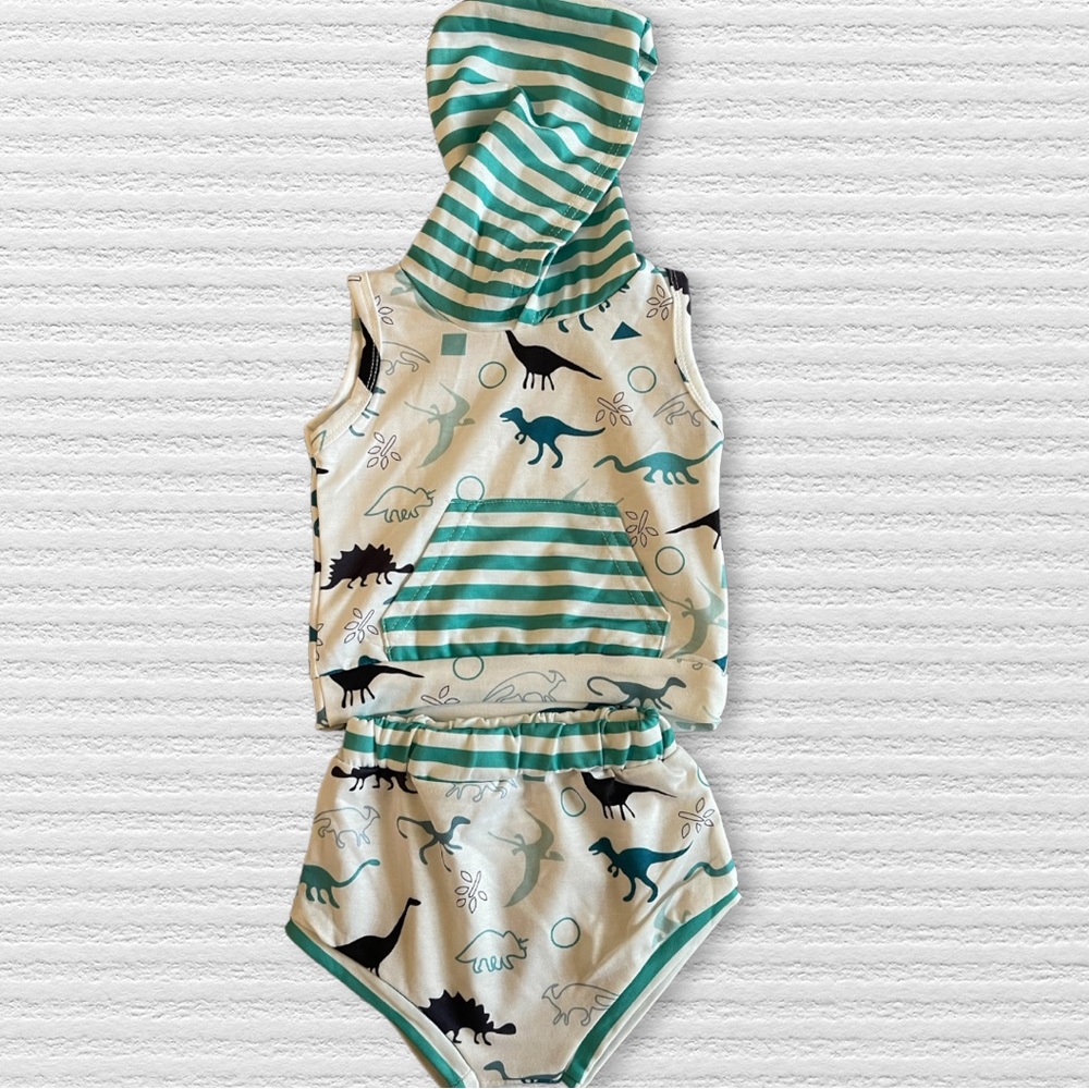 Baby Dinosaur Outfit -Two piece set NWT